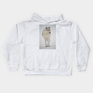 Arctic Wolf Kids Hoodie